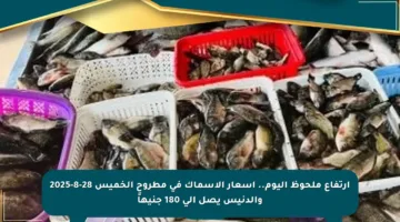 ارتفاع ملحوظ اليوم.. أسعار الأسماك في مطروح الخميس 28-8-2025 والدنيس يصل إلى 180 جنيهاً